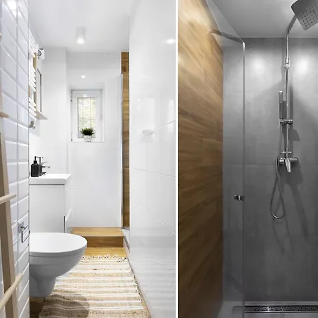 Elite Cozy סופוט